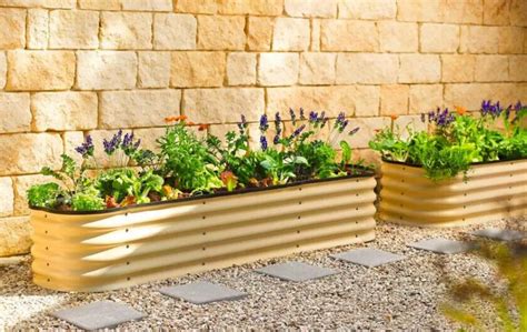 raised metal garden beds